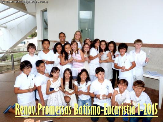 mini Renovacao Promessas Batismo Eucaristia I 2015 wm
