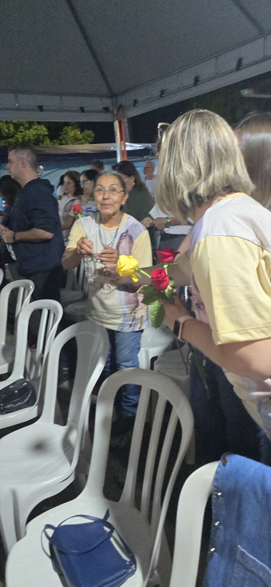 Novena A Nossa Senhora Das Gracas Dia 9